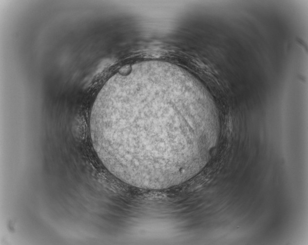 X0000101971446200808011120