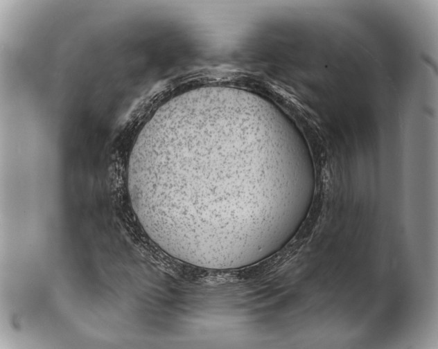 X0000101971447200808011120