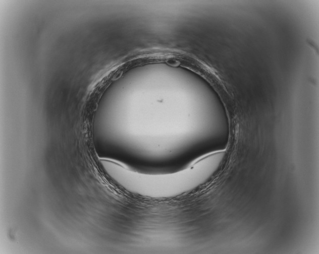 X0000101971448200808011120