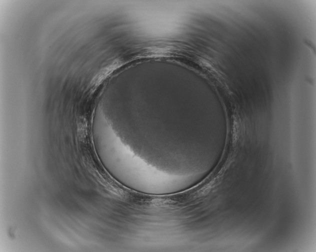 X0000101971449200808011120