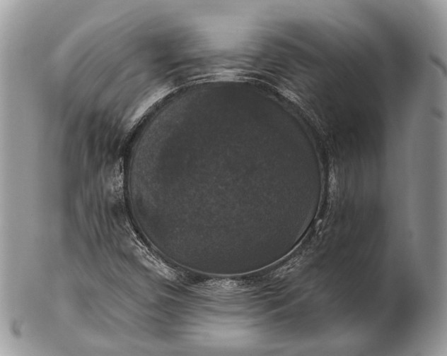 X0000101971450200808011120