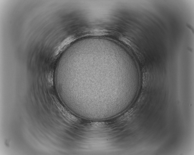 X0000101971451200808011120
