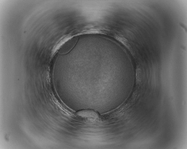 X0000101971452200808011120