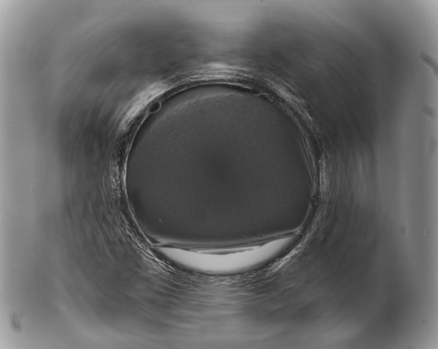 X0000101971453200808011120