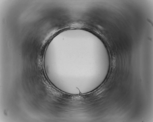 X0000101971454200808011119