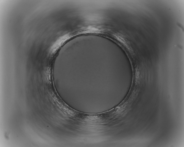 X0000101971455200808011119
