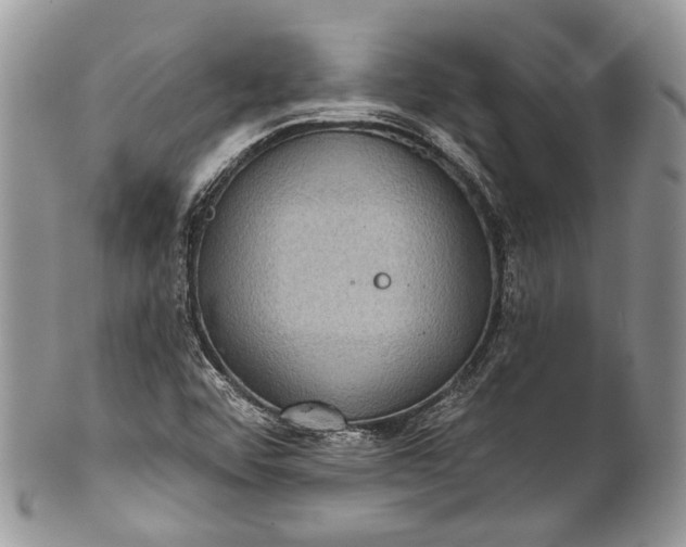 X0000101971456200808011119