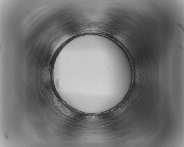 X0000101971458200808011119