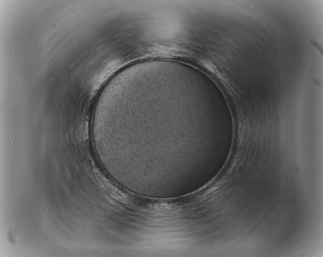 X0000101971459200808011119