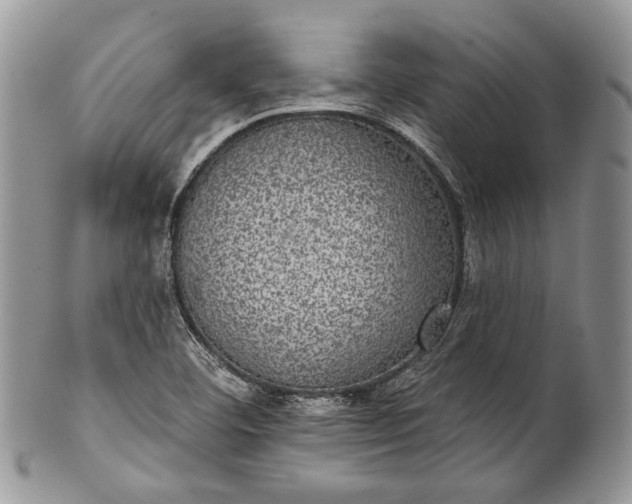 X0000101971460200808011119