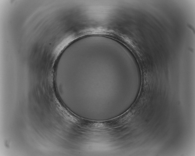 X0000101971463200808011119