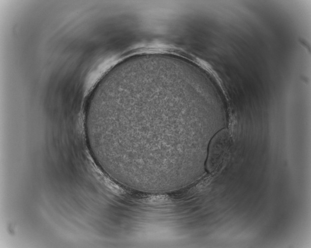 X0000101971464200808011119
