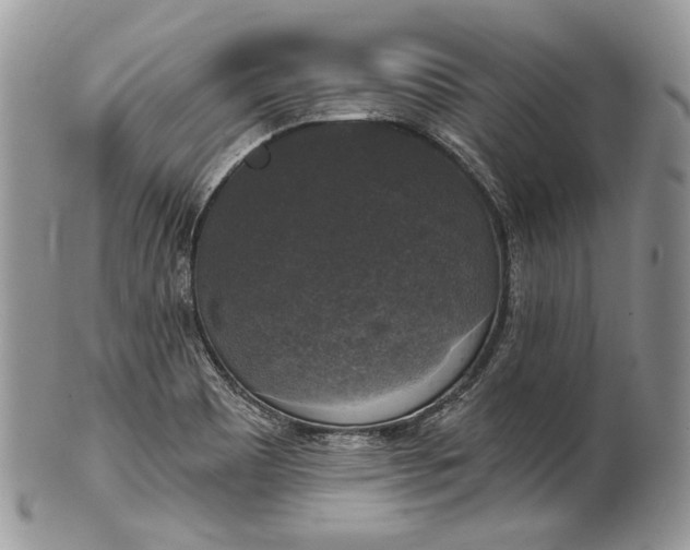 X0000101971465200808011119