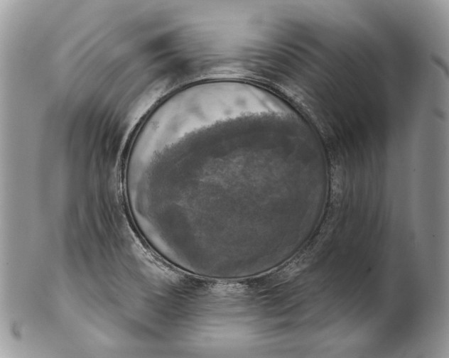 X0000101971466200808011119