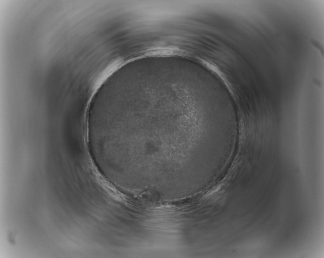 X0000101971467200808011119