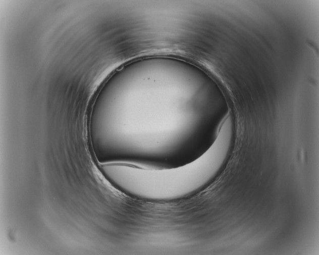 X0000101971468200808011119