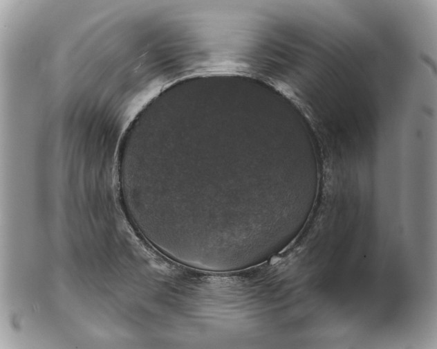 X0000101971469200808011119