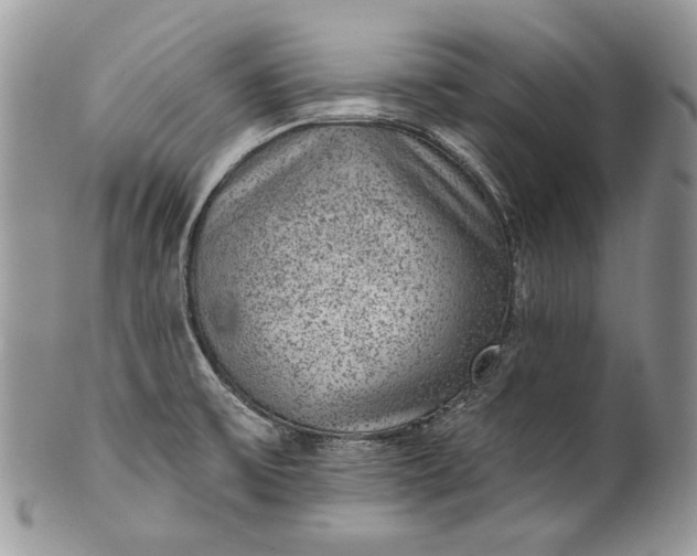 X0000101971475200808011119