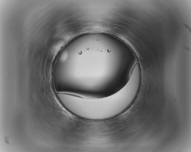X0000101971477200808011119