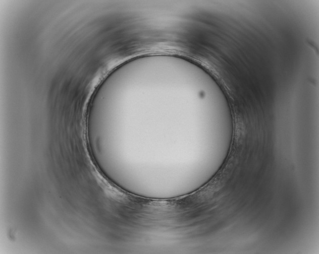 X0000101971478200808011119