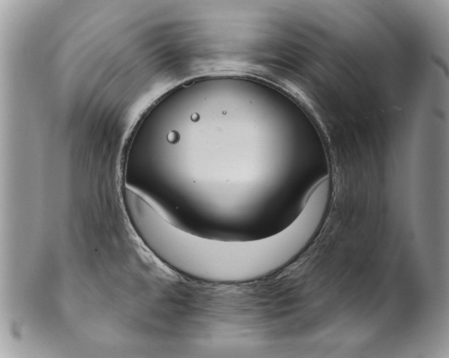 X0000101971480200808011119