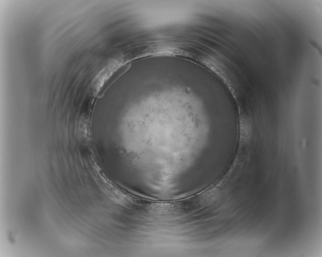 X0000101971481200808011119