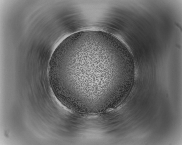 X0000101971484200808011119