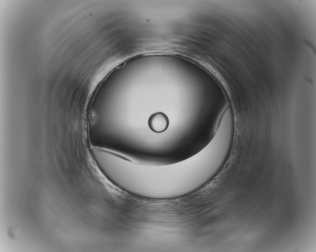 X0000101971485200808011119