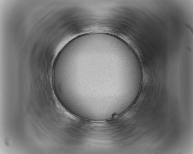 X0000101971486200808011119
