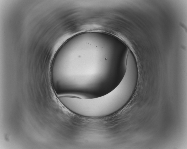 X0000101971488200808011119