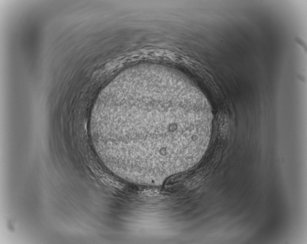 X0000101971489200808011118