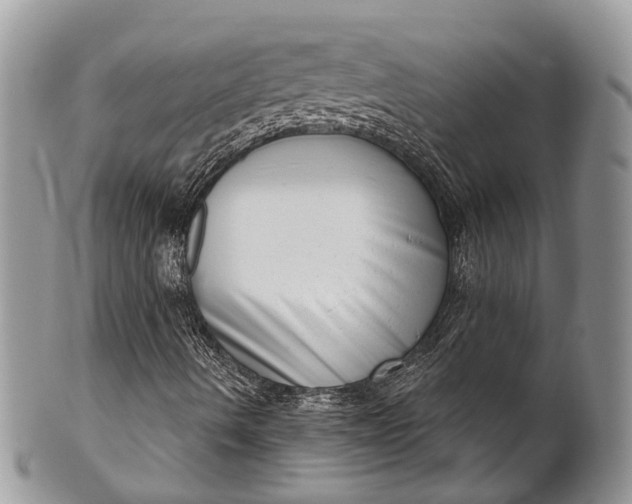 X0000101971490200808011118