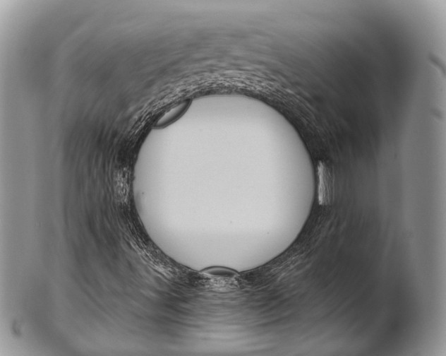 X0000101971491200808011118