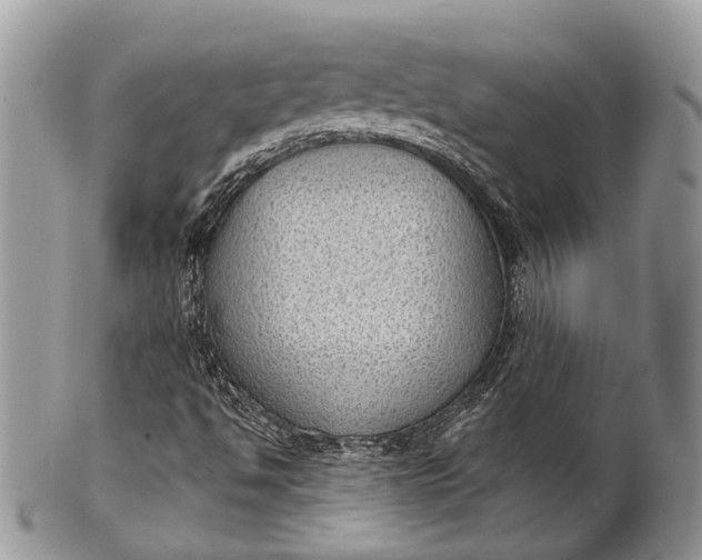 X0000101971494200808011118