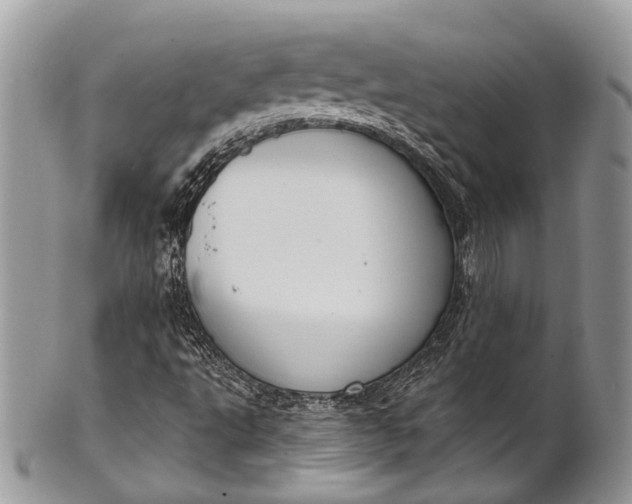 X0000101971495200808011118
