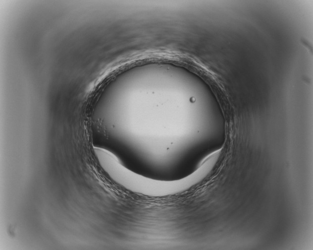 X0000101971496200808011118