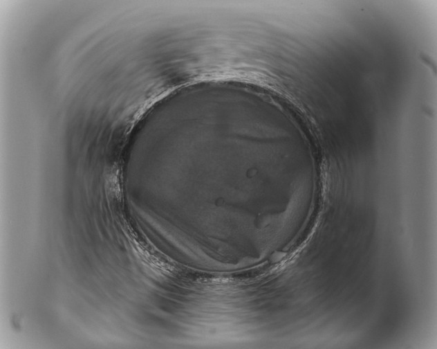 X0000101971497200808011118