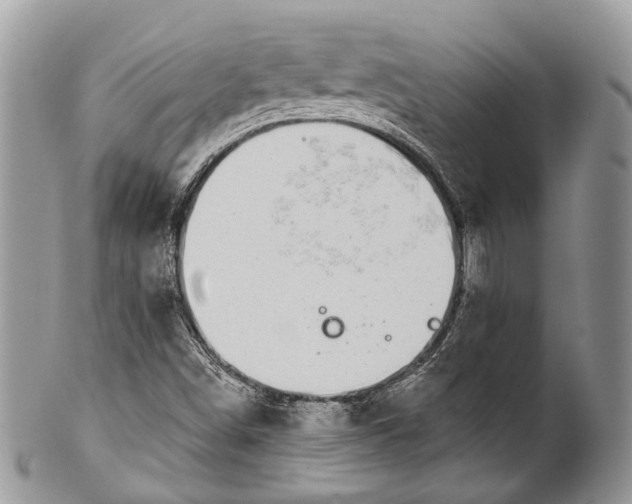 X0000101971498200808011118