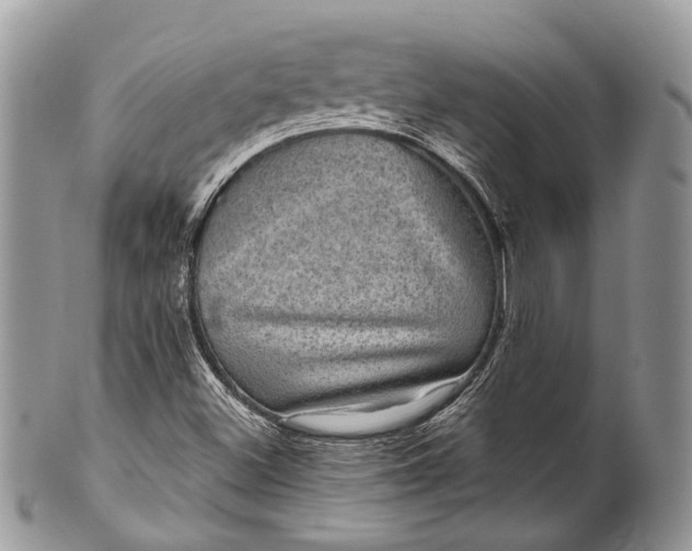 X0000101971500200808011118
