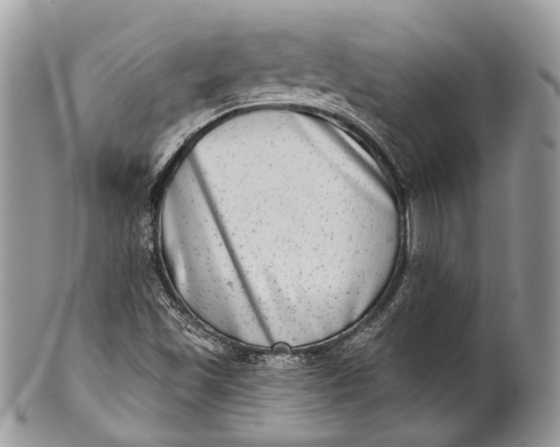 X0000101971501200808011118