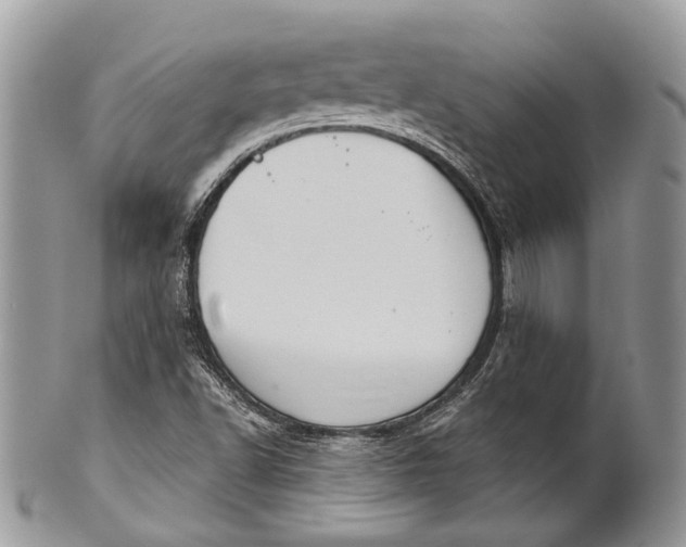 X0000101971502200808011118