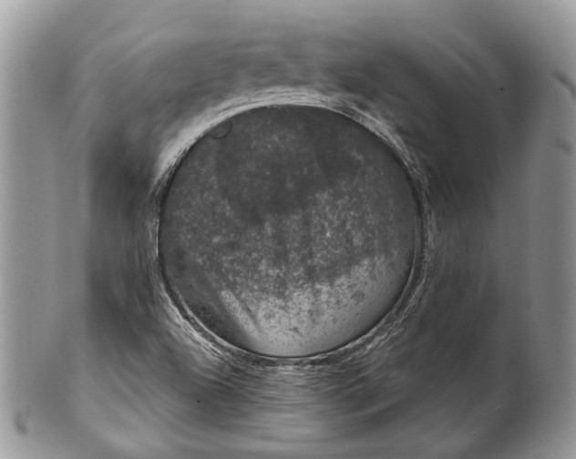 X0000101971504200808011118