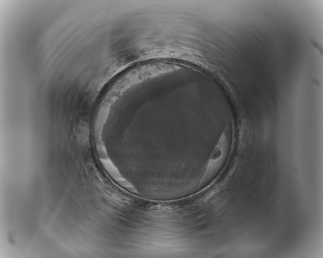 X0000101971505200808011118