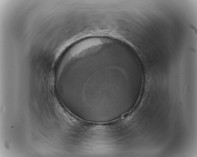X0000101971506200808011119