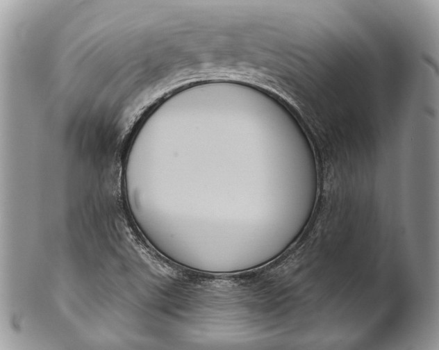 X0000101971507200808011119