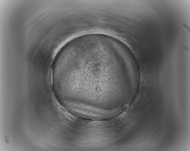 X0000101971510200808011119