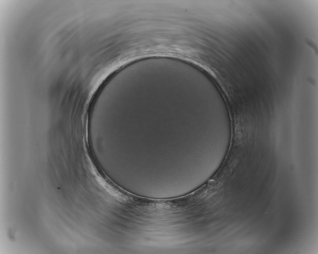 X0000101971515200808011119