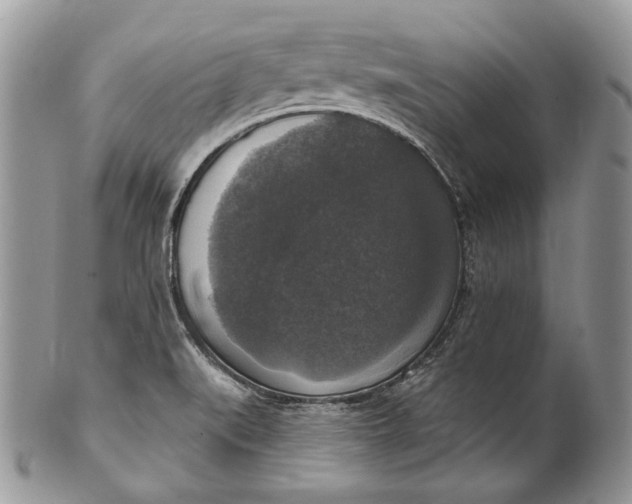 X0000101971519200808011119