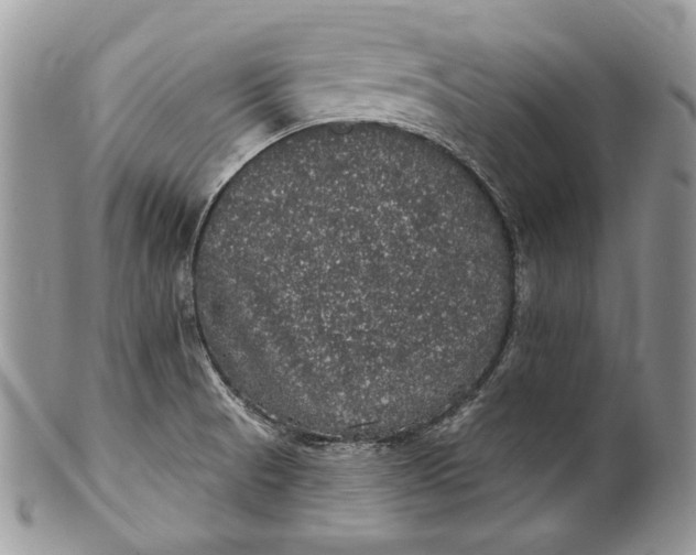 X0000101971521200808011119