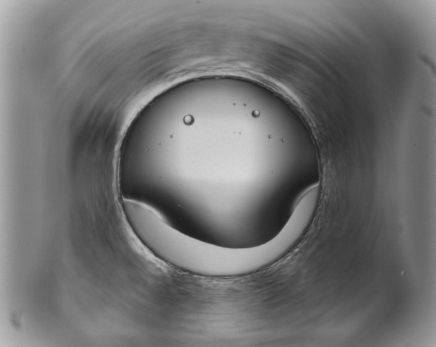 X0000101971528200808011119